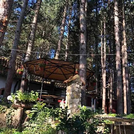 Medju Borovima 2 דירה Vinci