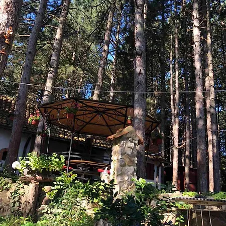 Medju Borovima 2 Vinci