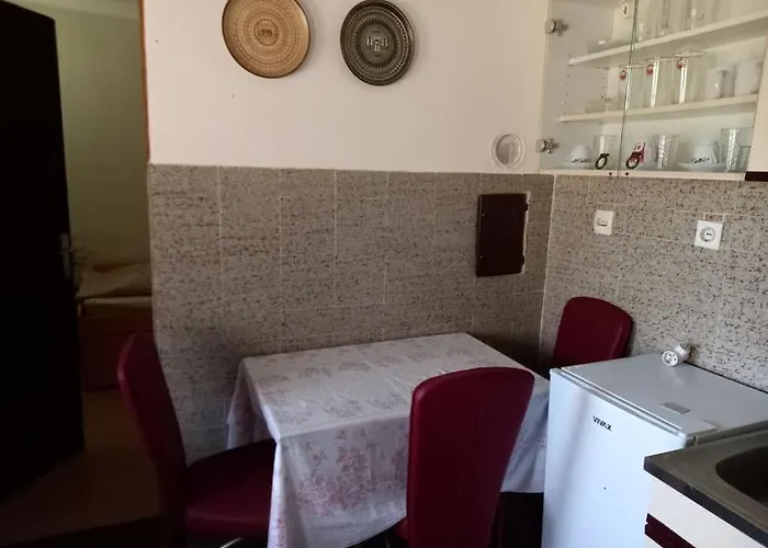 Medju Borovima 2 公寓 Vinci