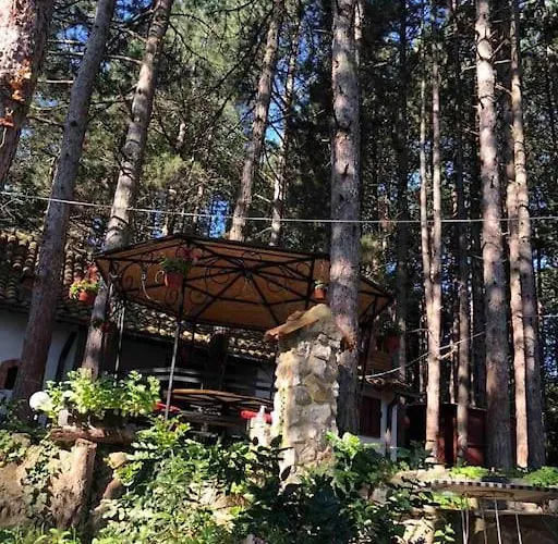 Medju Borovima 2 公寓 Vinci