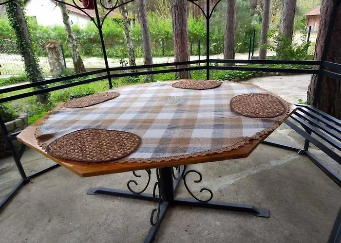 Medju Borovima 2 Vinci