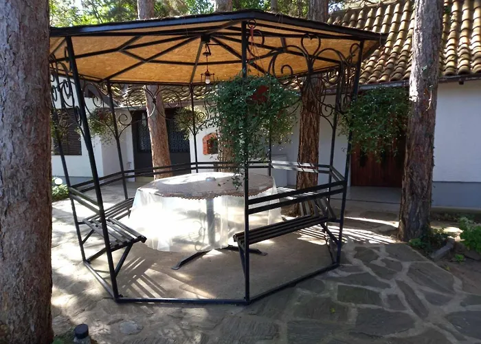 Medju Borovima 2 Vinci