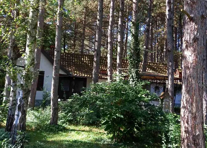 公寓 Medju Borovima 2 Vinci