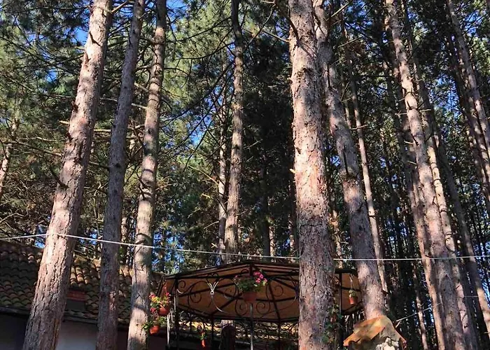 Medju Borovima 2 * Vinci